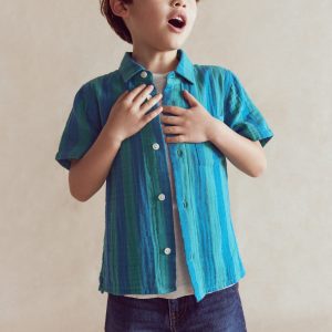 Double Cloth Shirt-Green and Blue Stripe
